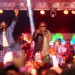 Incredible Music Festival